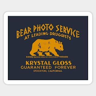 BEAR PHOTO SERVICE_YLW Sticker